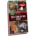 מדריך כּרטא פטריות מאכל ורעל בישראל