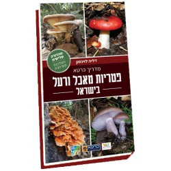 מדריך כּרטא פטריות מאכל ורעל בישראל-מבצע-10