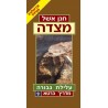 מצדה